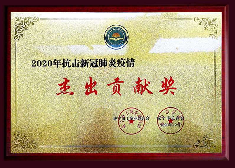 2020年抗擊新冠肺炎疫情 杰出貢獻獎