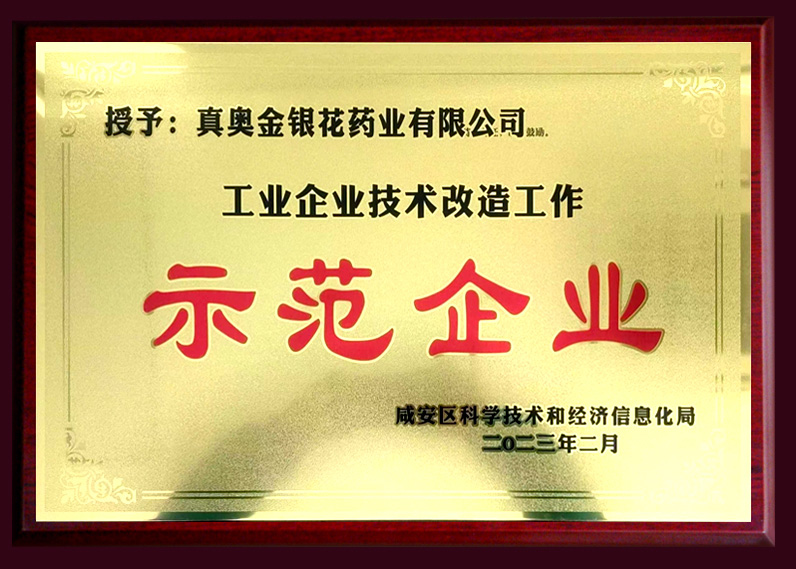 工業企業技術改造工作 示范企業