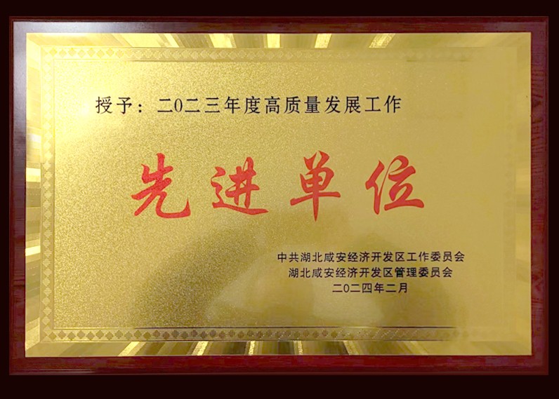 二0二三年度高質量發展工作先進單位