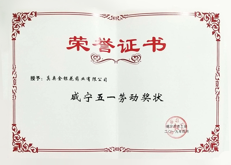 咸寧五一勞動獎狀