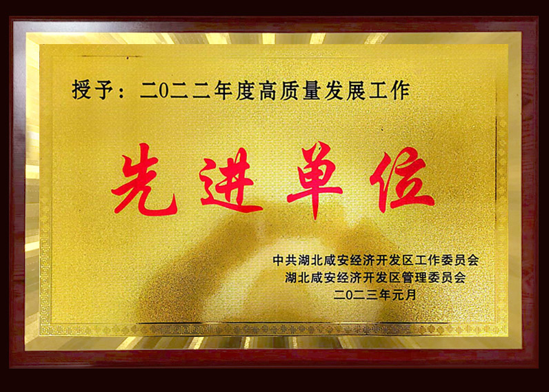 二0二二年度高質量發展工作先進單位