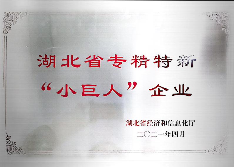 湖北省專精特新 “小巨人” 企業(yè)